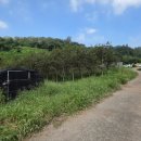 사봉면-5 이미지