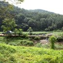 명노환농장 네이버블로그