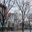 그린프라자세탁소
