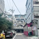 묘랑 고양이 카페 네이버블로그