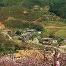 별밤펜션민박 이미지
