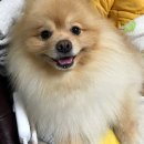 평리1동주민센터 이미지