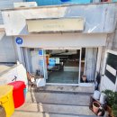 사파동220 이미지