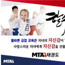 가락태권도 네이버블로그