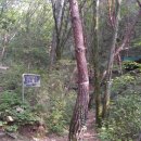 일장천약수터 이미지