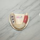 다온치과의원 이미지