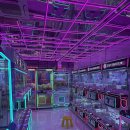 펀타스틱 초지 이미지