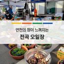 [호로고루/해바라기] 역사와 감성 연천여행 09월09일(목) 신청해 주세요 이미지