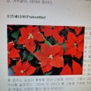 [한국의 위령기도] (7) 선교 방법으로서 장례 봉사와 위령기도 이미지
