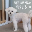 알뭉