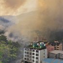 대구매천초등학교 이미지