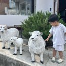 육각커피 광주신세계점 | 양림동 데이트 추천 에그타르트 맛집 양인제과, 육각커피 아기랑 방문 솔직후기