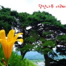 산방마을회관 이미지