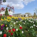 샛별농장 이미지