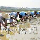 농업회사법인 유기농비건(주) 아시아경제