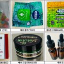 비타민사진학원 이미지