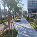 포스코대로 이미지