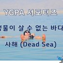 호수와 바다 이미지