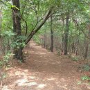 고양누리길 10코스 견달산누리길 | 고양누리길10코스:견달산