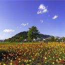 황산문화체육공원 이미지