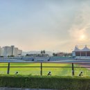 음성종합운동장 이미지