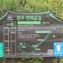 상관 공기마을 편백숲 이미지