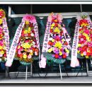 서양화B 이미지