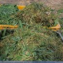 팔음농장 이미지