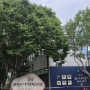 경북 영양 가볼 만한 곳 전국 최대 규모 영양 분재 수석 야생화 전시관 입장료