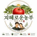 홍로사과 상세 이미지