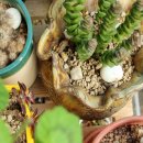 신머리방 - 아산시 | 신머리방