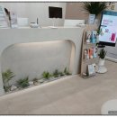 연세리움의원 이미지