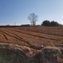 참사랑공인중개사사무소 이미지