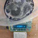 하나로자동차공업사 | ✨김해 삼방동 자동차외형복원 기아 올뉴쏘렌토 조수석...도색부터 본넷 서비스까지! 완벽 복원 수리후기