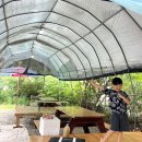 노루목민박 이미지