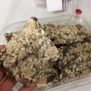 대광상회 이미지