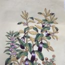 그림그리다 이미지