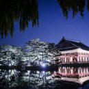 별빛처럼 이미지