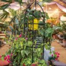 모모의 숲 이미지