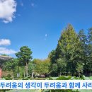 293과 모든 두려움은 지나갔다. 오직 사랑만이 여기에 있다. 이미지