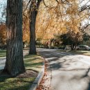 신수로-1 이미지