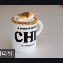 5297 | 성수동카페 차일디쉬 성수동카페 차일디쉬, 어른이들의 놀이터