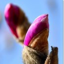 이시돌쉼터 이미지