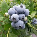 율이농장 이미지