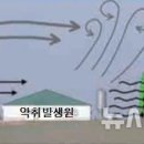 뜰축산 뉴시스