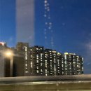 상봉주유소 | ⋆.˚ 𓆉 세부여행 𝟭 | 세부퍼시픽 5J131, 필리핀 입국 이트래블, 새벽 모알보알 택시이동 (+기사추천)