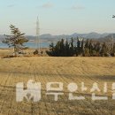 둔전1리 Daum카페