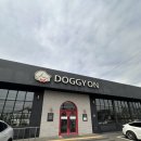 우리할매떡뽁이 경산하양점 | 경산, 하양 천연잔디운동장 애견카페 도기온 후기