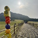 성산읍 고성리 352-4 | 제주 동쪽 여행 성산 3박 4일 day2 성산일출봉 해녀의집 뿔소라 카페 해일리 제주일돈흑돼지