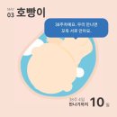 디셀프스튜디오